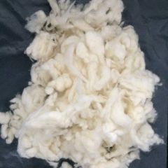 国产细羊毛及其改良毛洗净毛